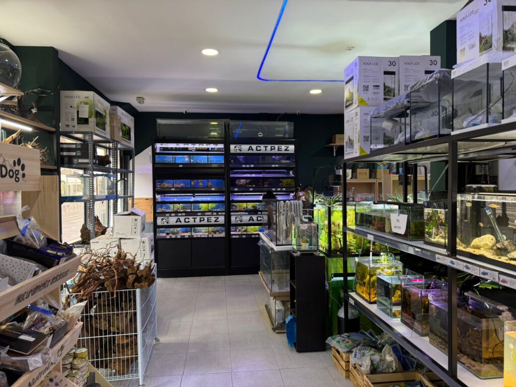 Interior Actpez 2