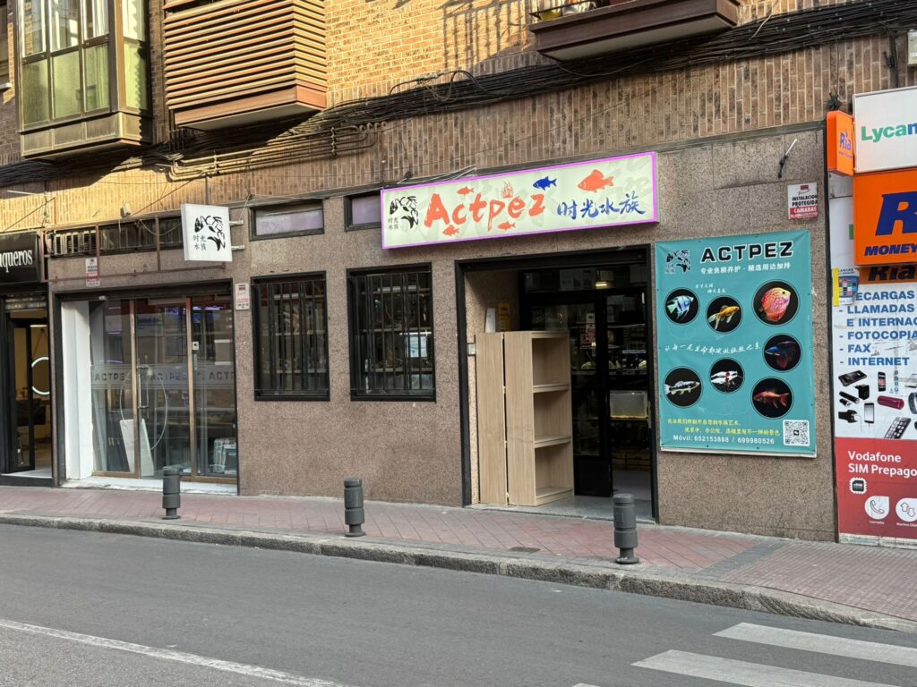Actpez