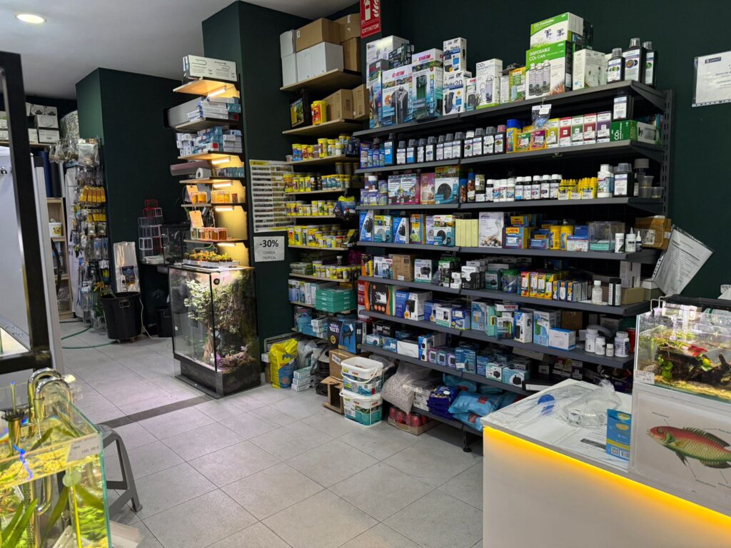 Interior Actpez